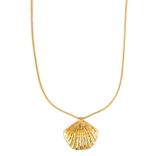 'long shell' ketting