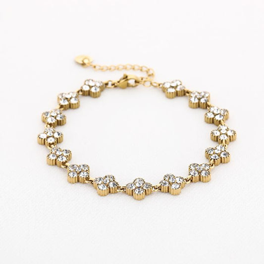 'Shiny clover' armand wit