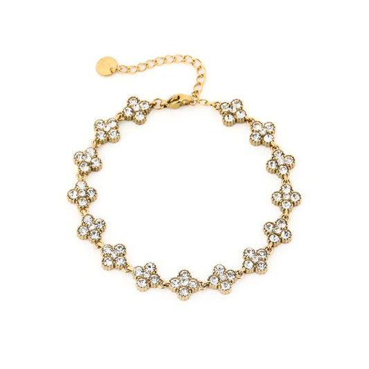 'Shiny clover' armand wit